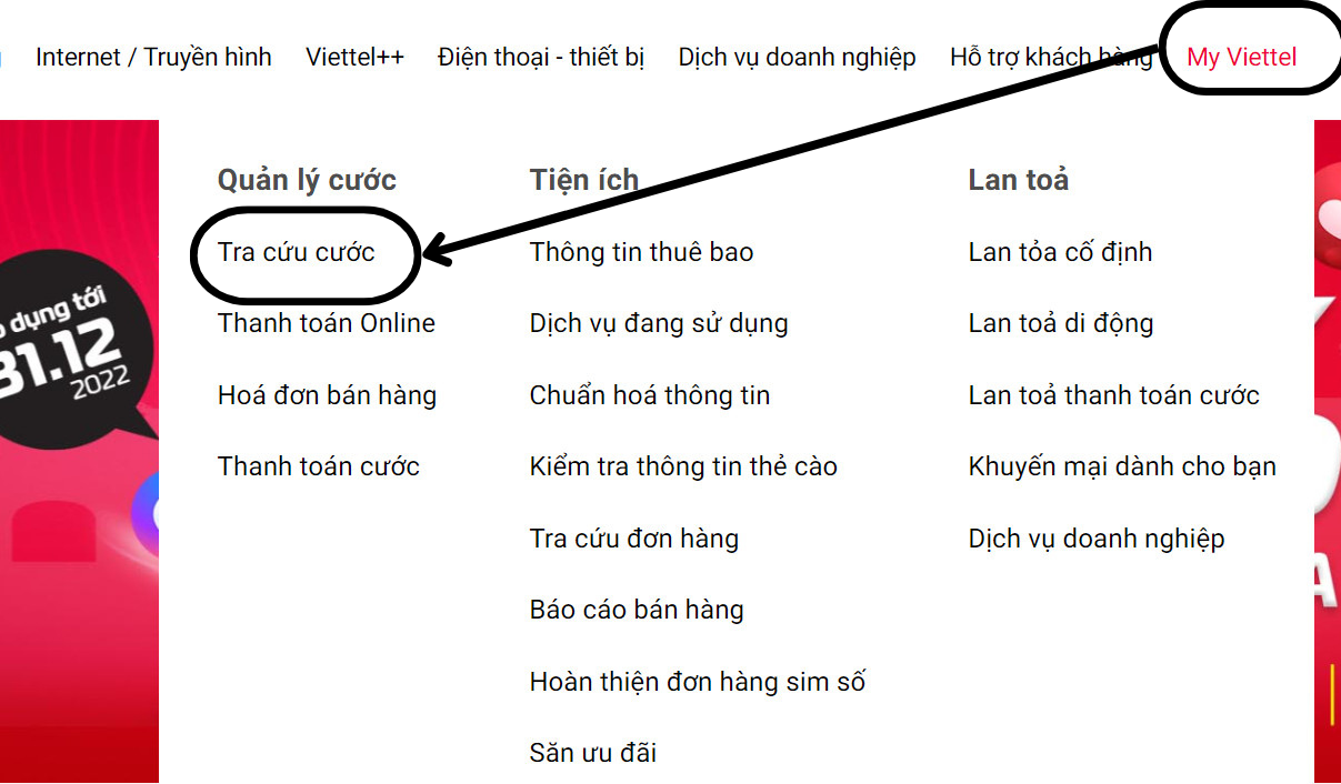 Kiểm tra gói thanh toán sau trang web của Viettel