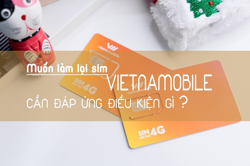 lam-lai-sim-vietnamobile-3