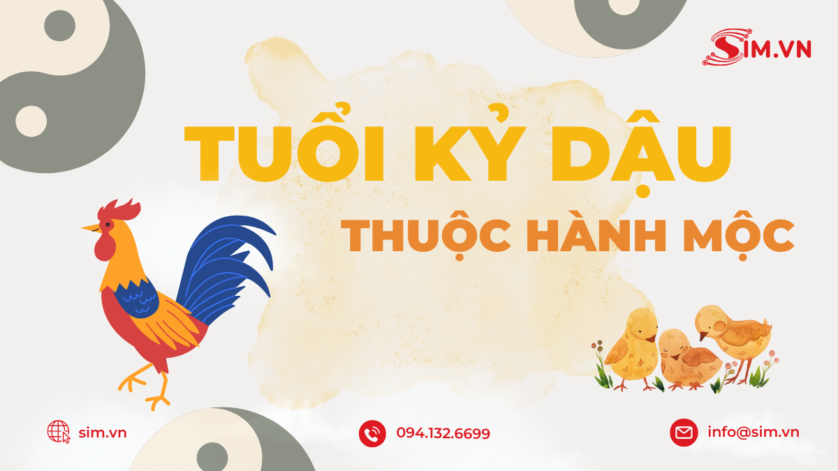 Làm thế nào để chọn sim hợp tuổi 1969 theo ngũ hành?