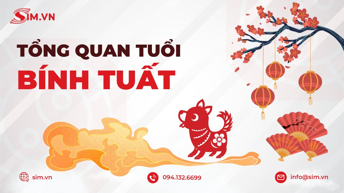 tong-quan-tuoi-binh-tuat