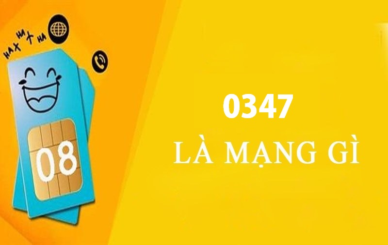 0347-la-mang-gi-1