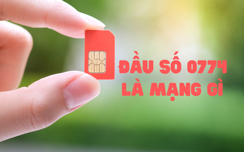 dau-so-0774-la-mang-gi