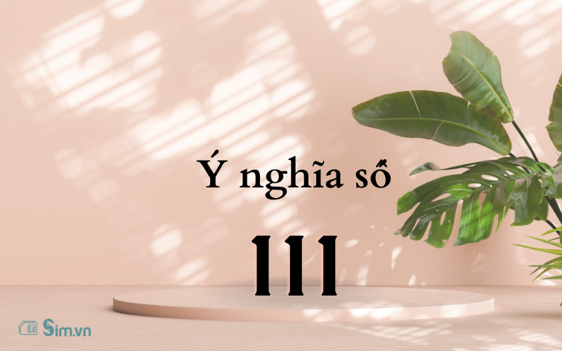 y-nghia-so-111