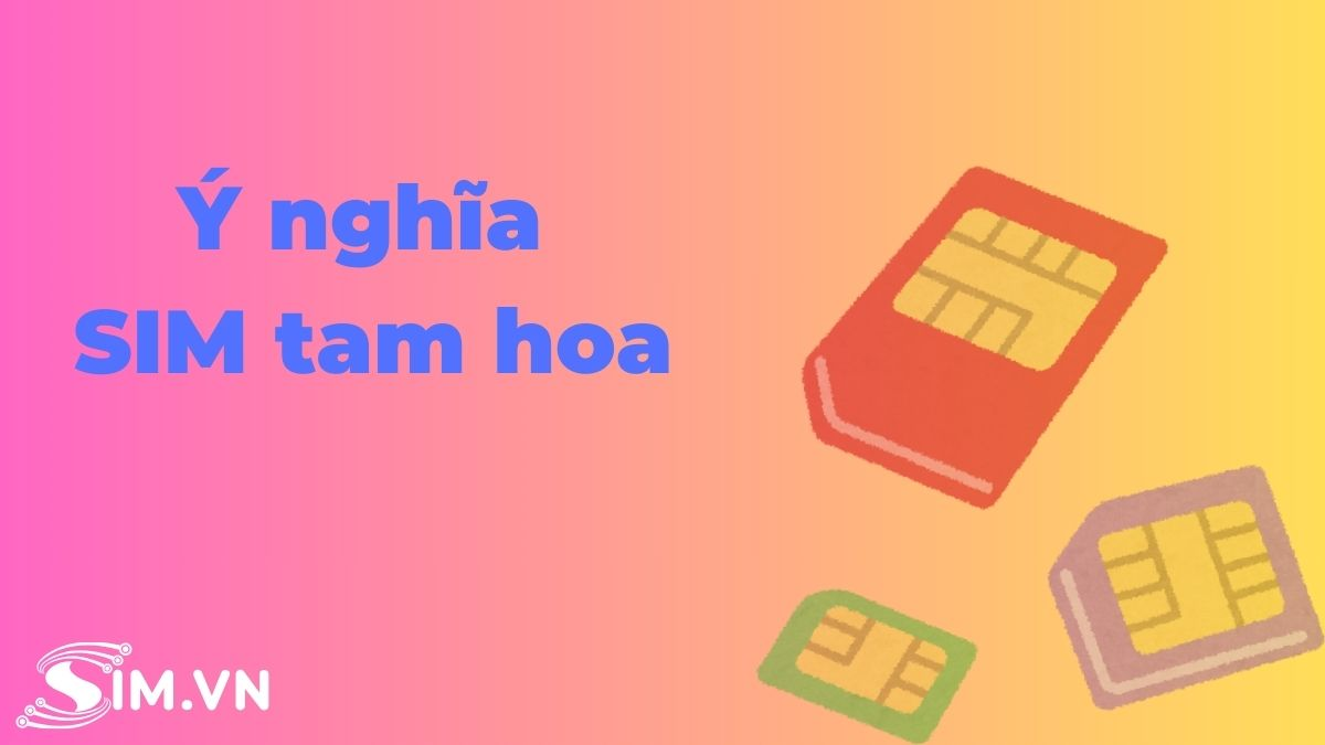 sim-tam-hoa-co-y-nghia-gi