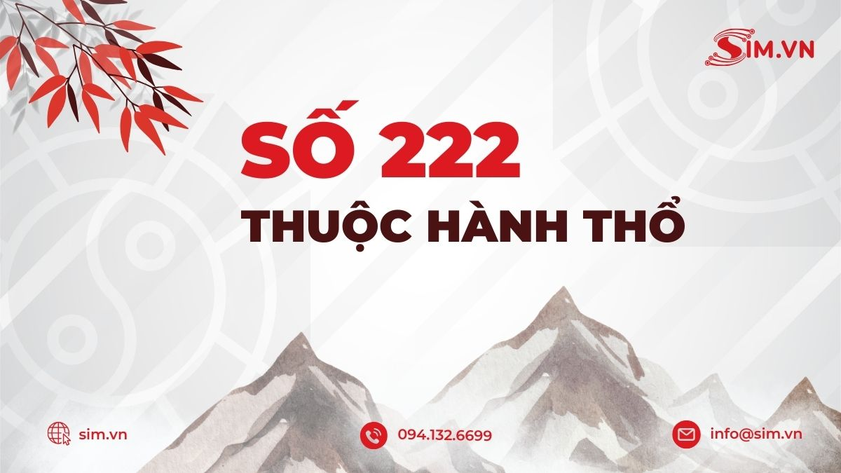 so-222-trong-phong-thuy