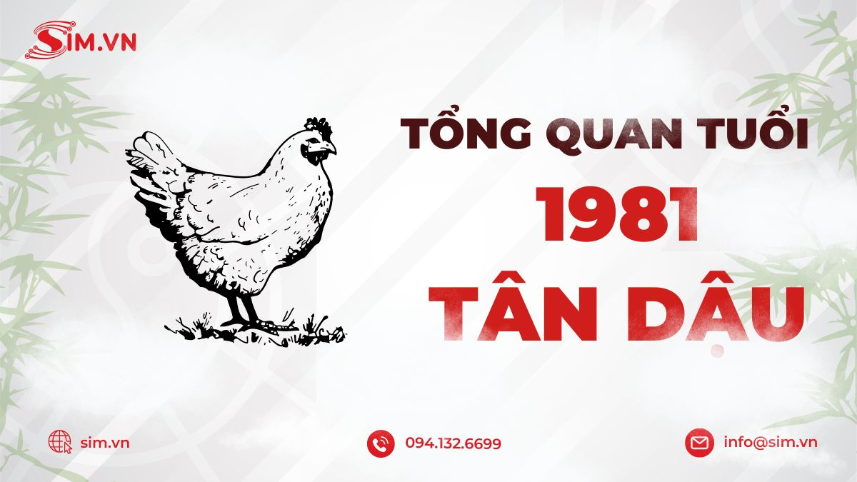 tong-quan-nguoi-tuoi-tan-dau