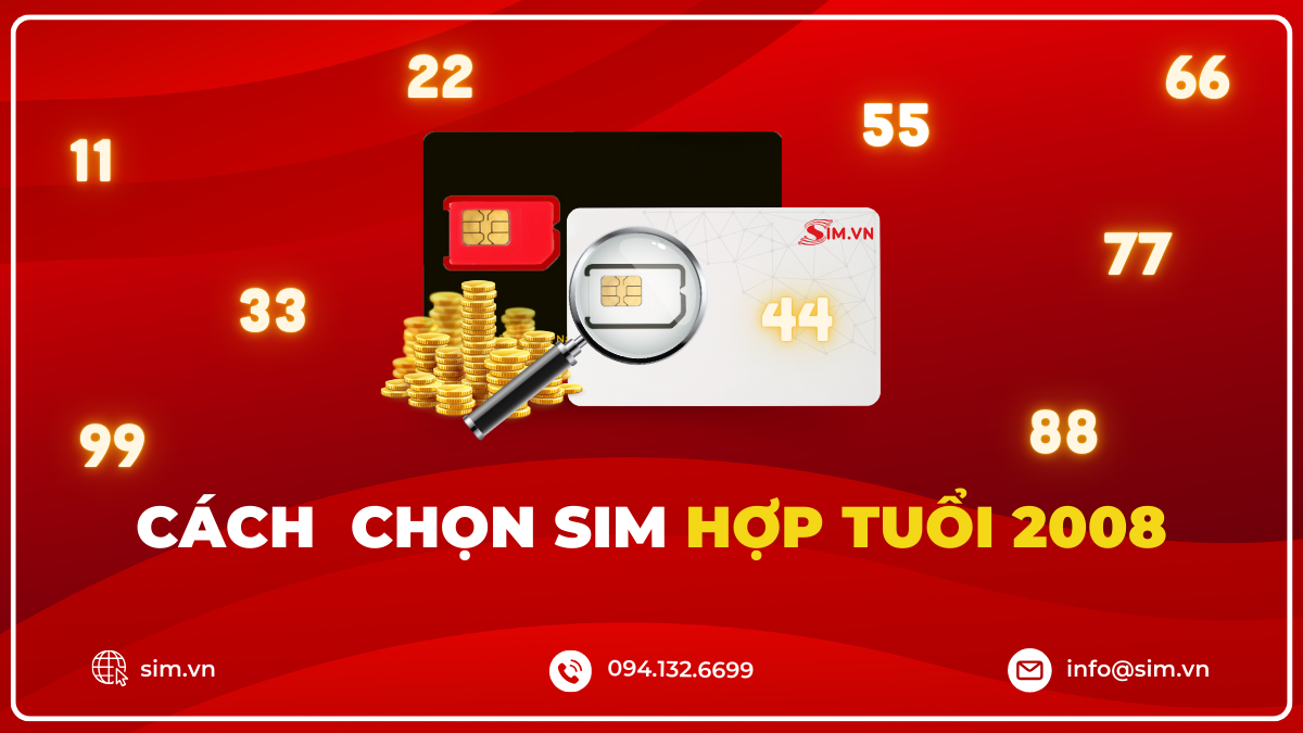 Chọn sim hợp tuổi 2008 như thế nào?