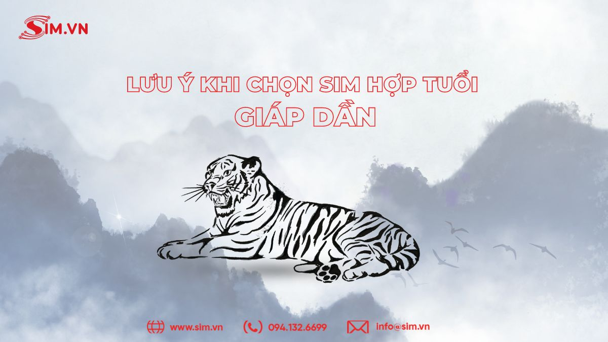 luu-y-khi-chon-sim-hop-tuoi-giap-dan