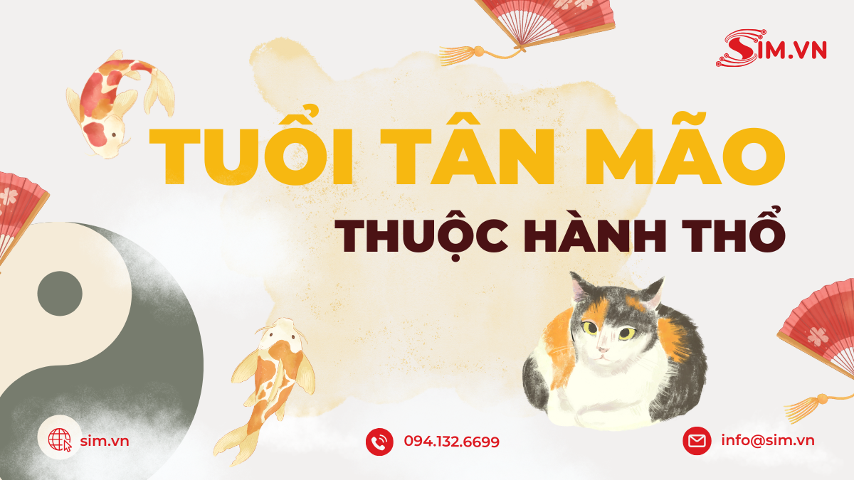 Tìm sim hợp tuổi 2011 theo ngũ hành