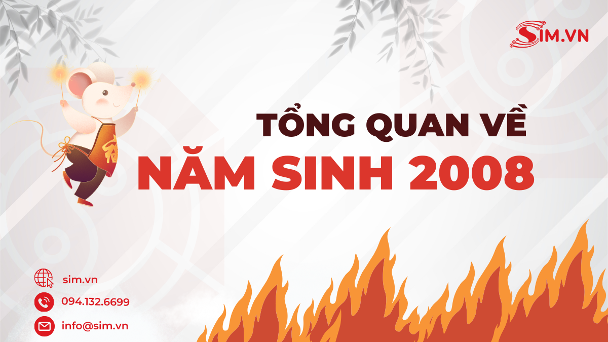 Tổng quan về người sinh năm 2008