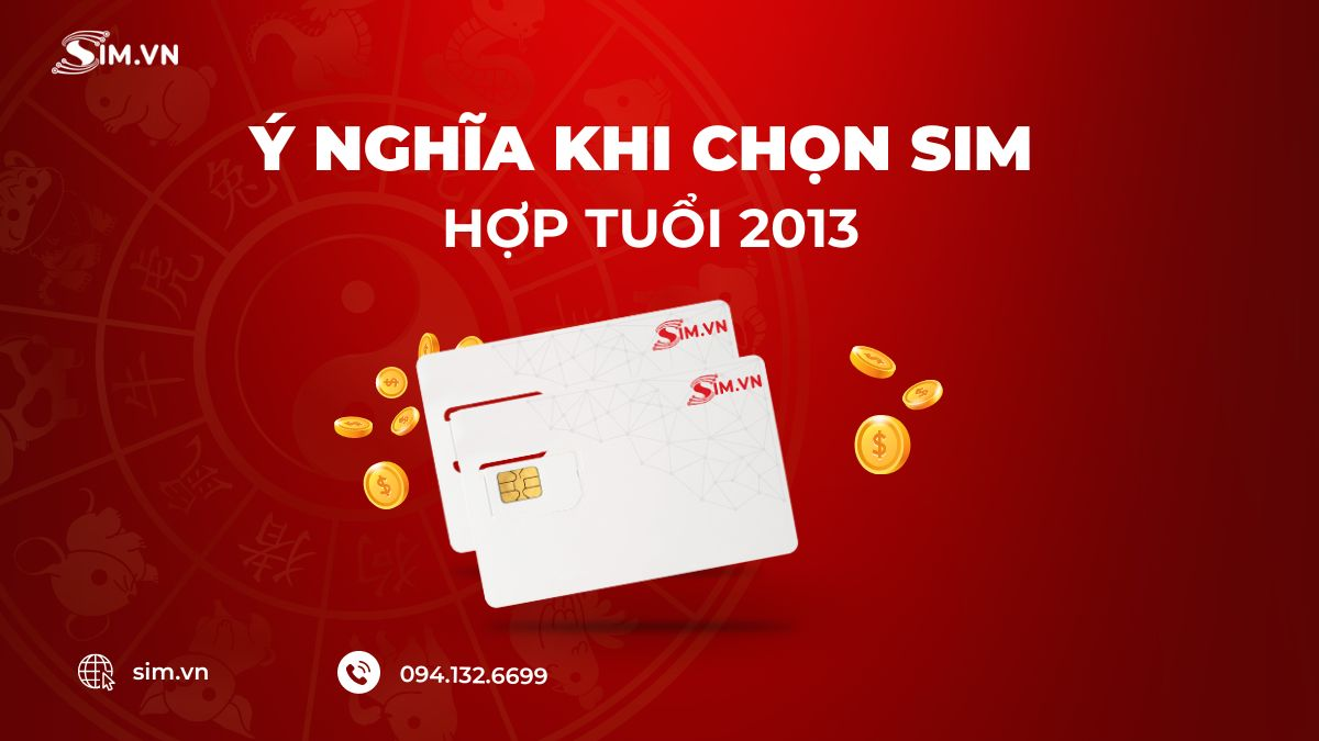 y-nghia-khi-chon-sim-hop-tuoi-2013