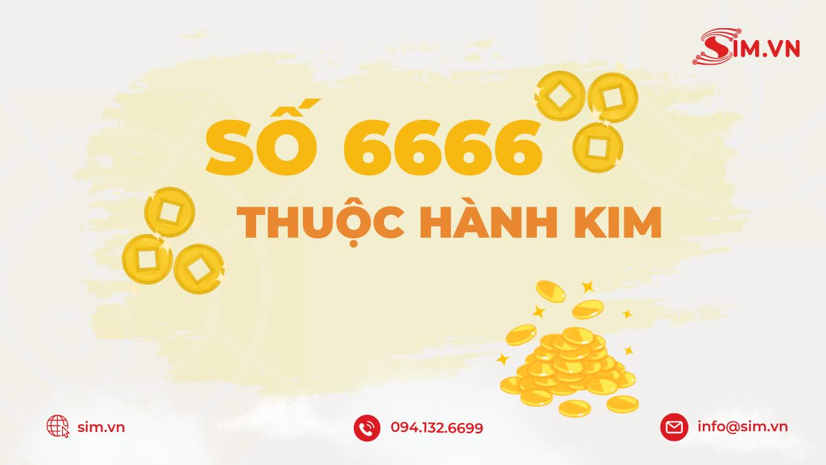 y-nghia-so-6666-theo-ngu-hanh