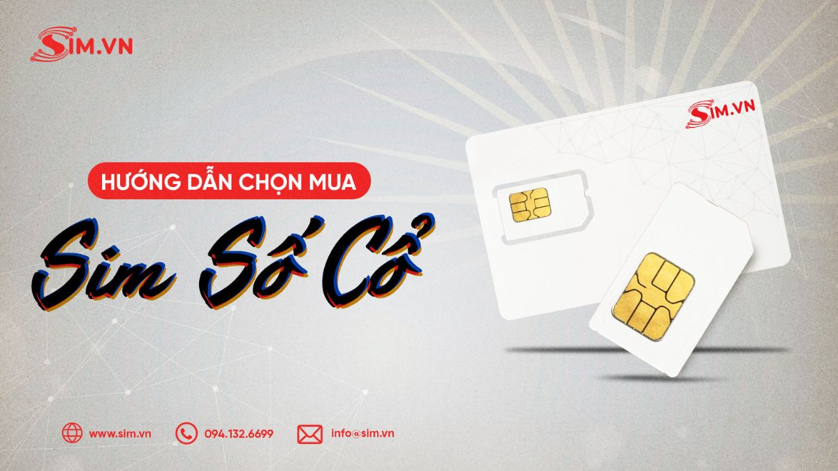 Chọn mua sim đầu số cổ