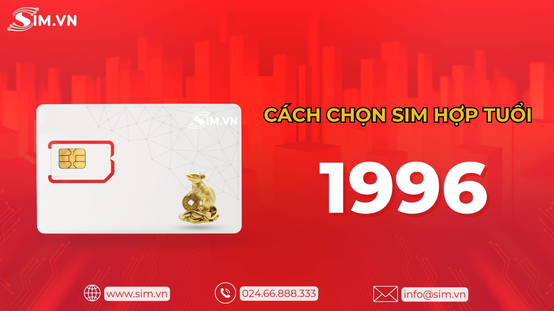 Cách chọn sim hợp tuổi 1996