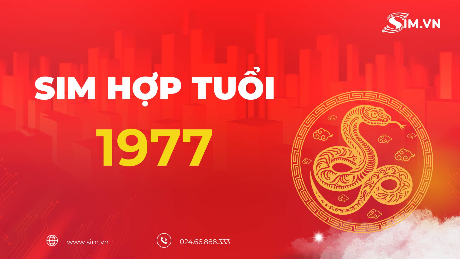 sim-hop-tuoi-1977