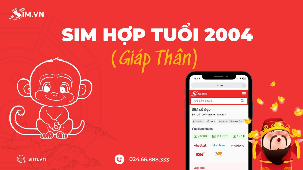 Sim hợp tuổi 2004