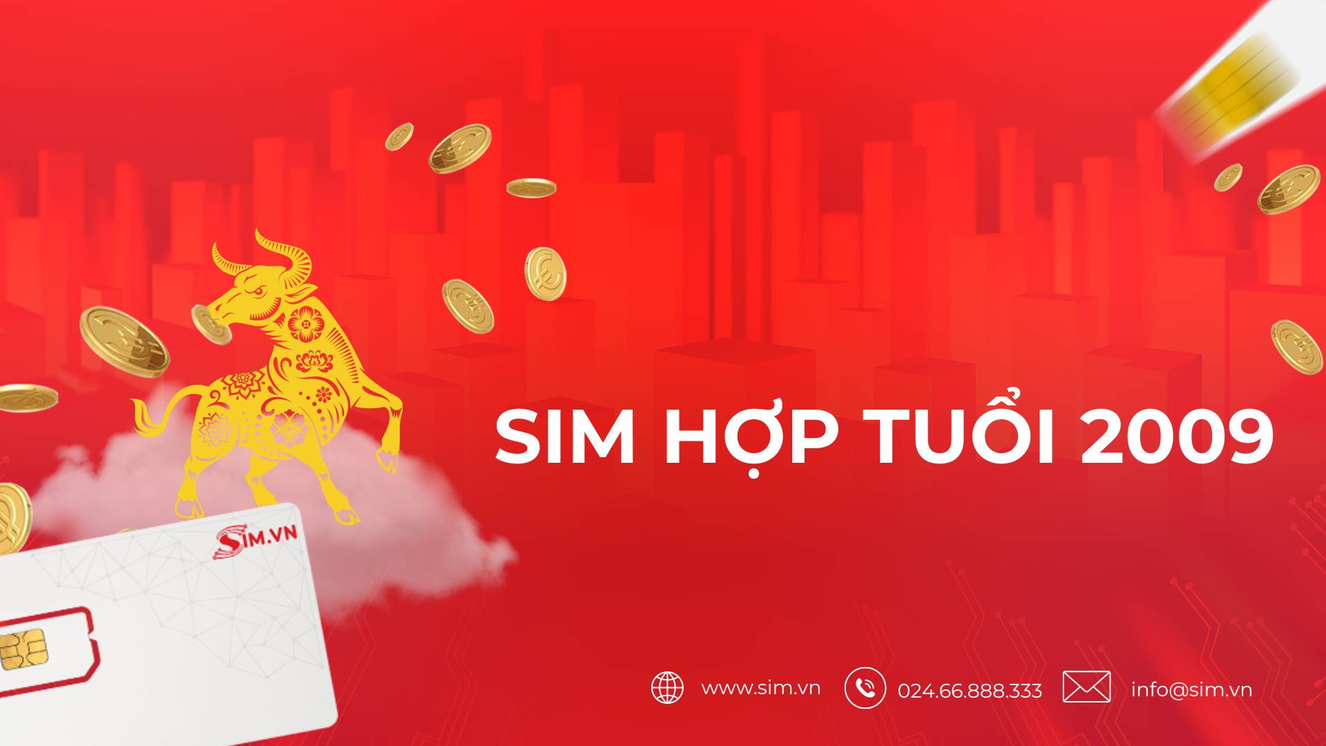 sim-hop-tuoi-2009