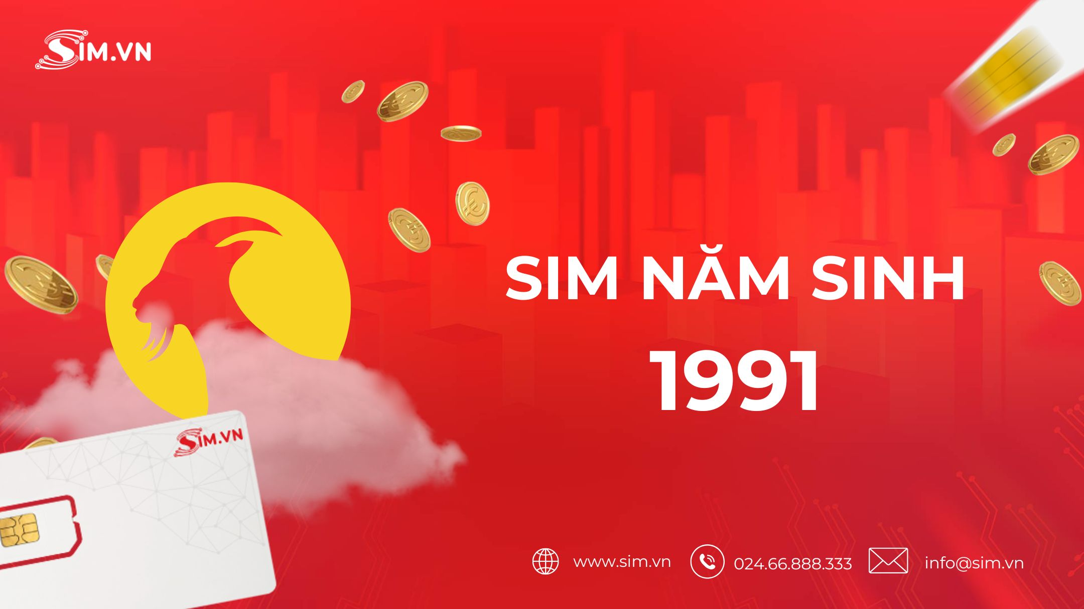 sim-nam-sinh-1991