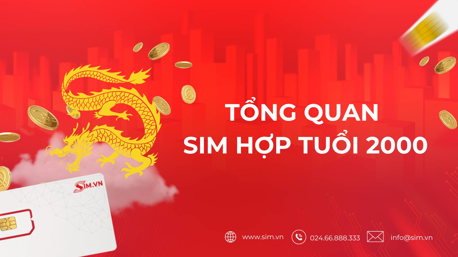 tong-quan-sim-hop-tuoi-2000 tong-quan-sim-hop-tuoi-2000
