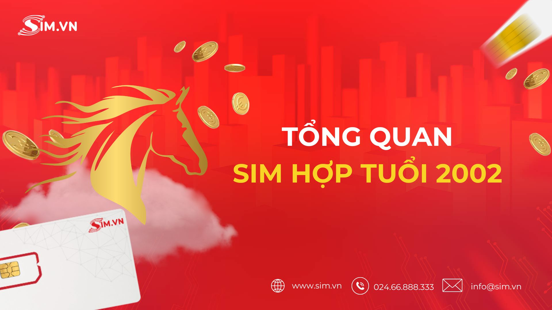 tong-quan-sim-hop-tuoi-2002