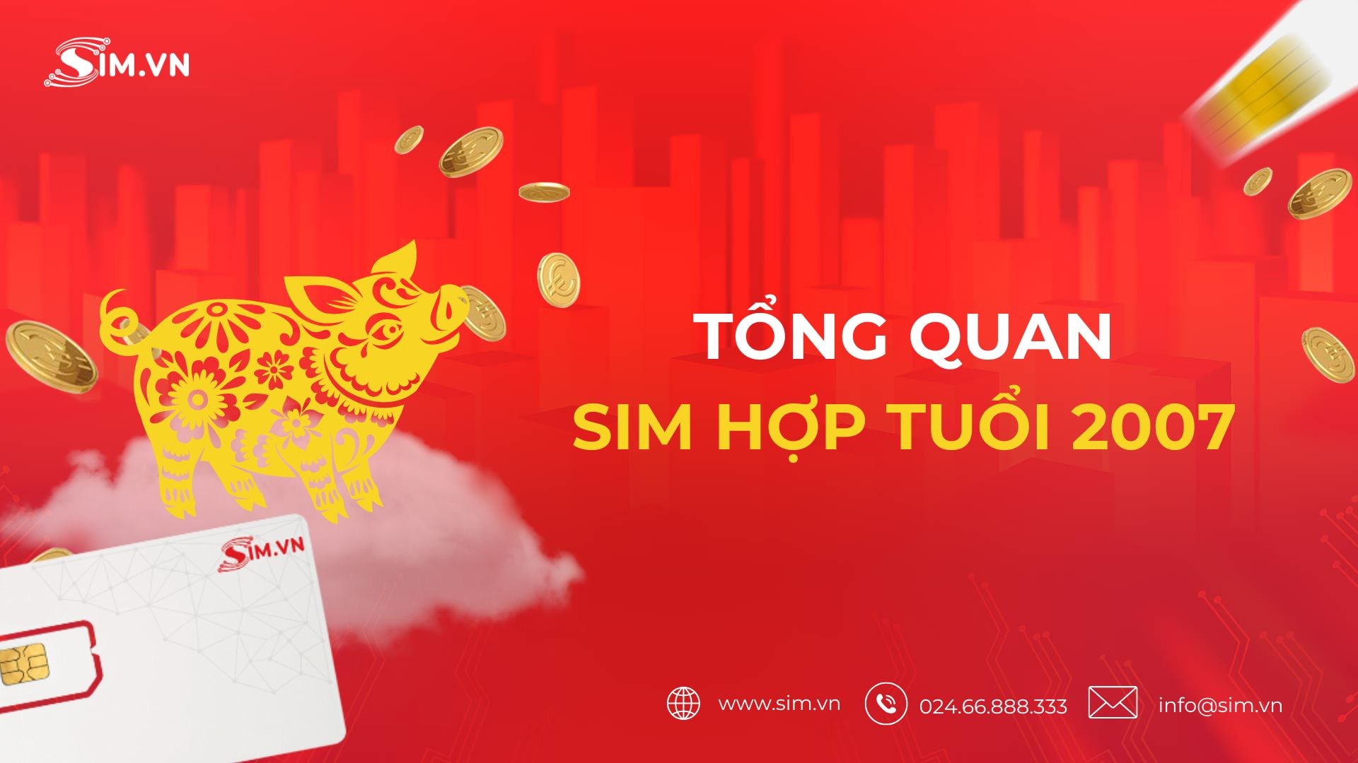 tong-quan-sim-hop-tuoi-2007 tong-quan-sim-hop-tuoi-2007